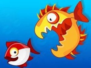 Ocean Size Battle Duo