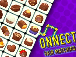 Onnect Pair Matching Puzzle