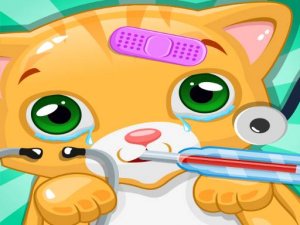 Cat Vet Clinic Adventure