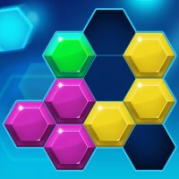 Hexagon Puzzle Fever Game