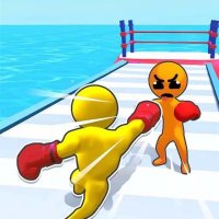 Boxer Champion Runner