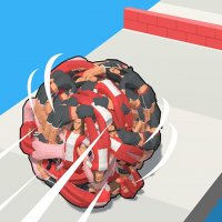 Human Ball 3D Arcade Runner