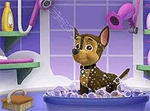 Puppy Stylist Photo Studio
